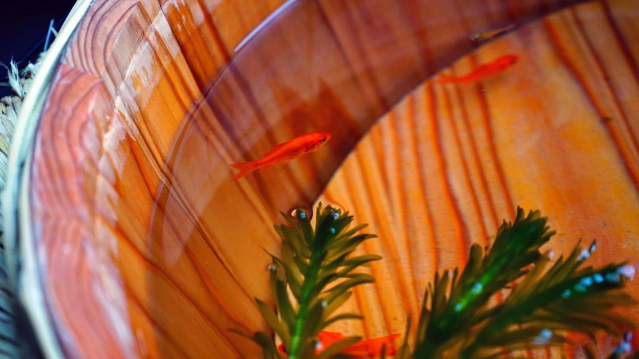Kyoto Classical House -Murasakian - エクステリア 写真